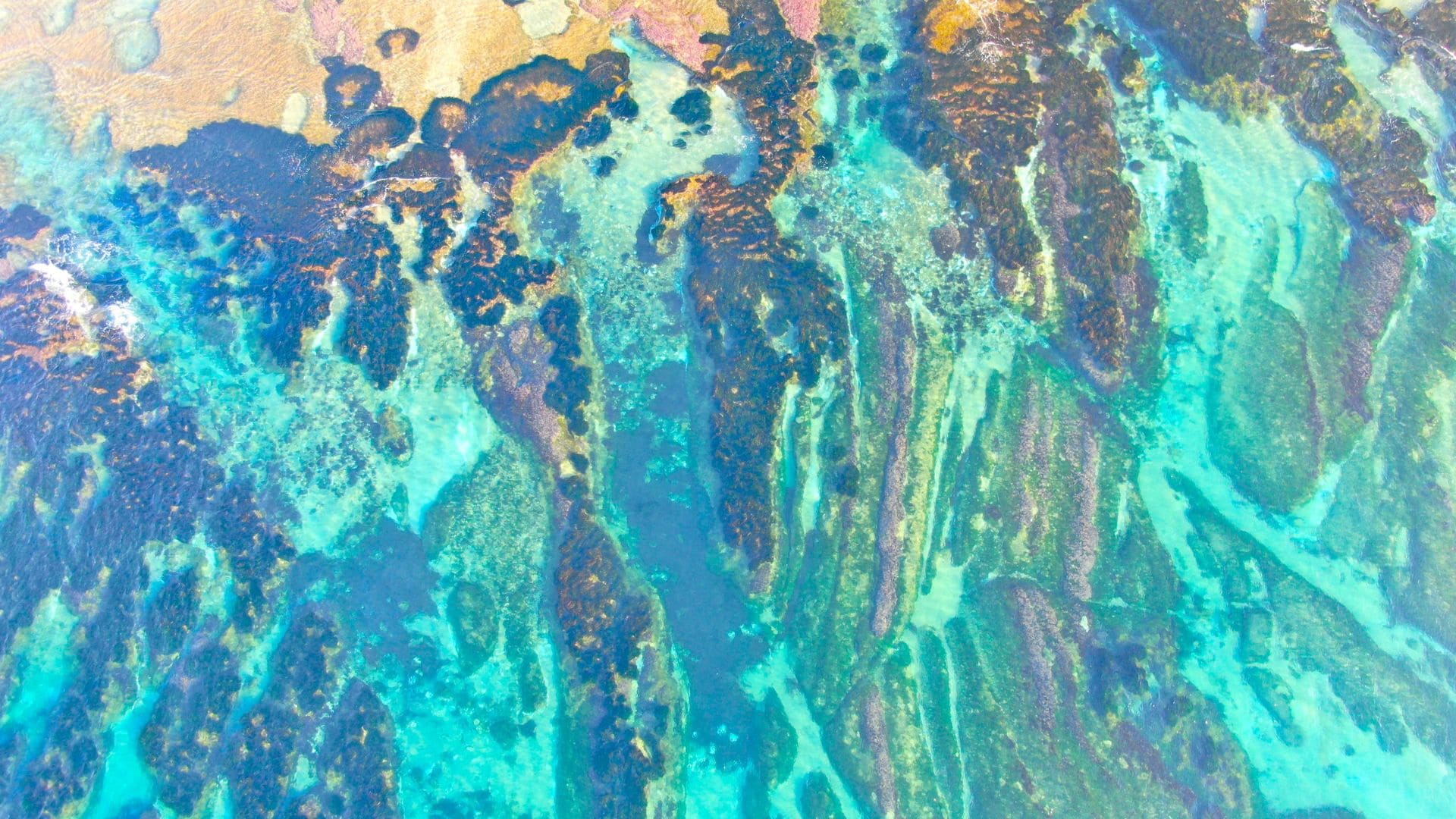 Acque turchesi di Cala Manbrù